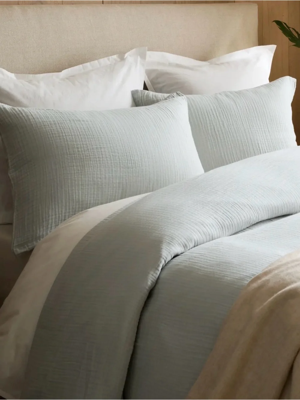 Quince organic cotton